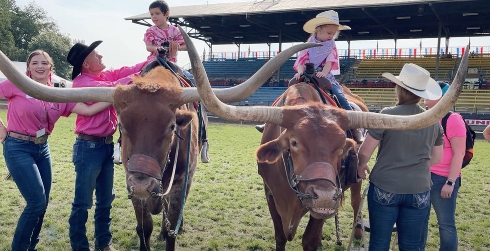 children sitting on longhorn steers