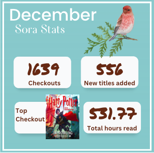 December Sora Stats
