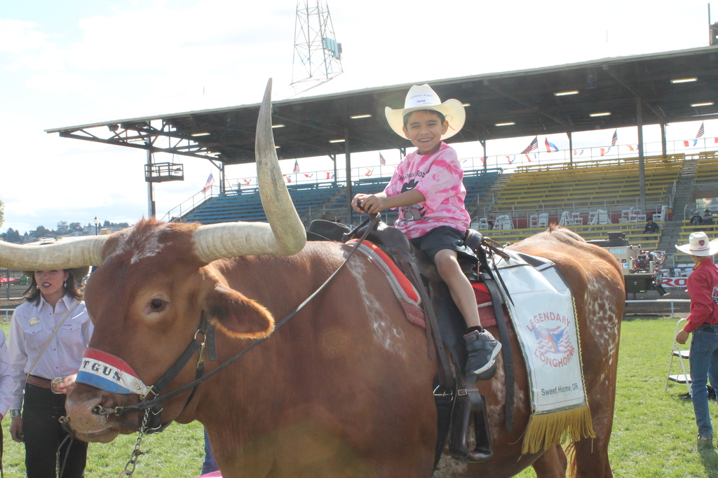 boy riding steer