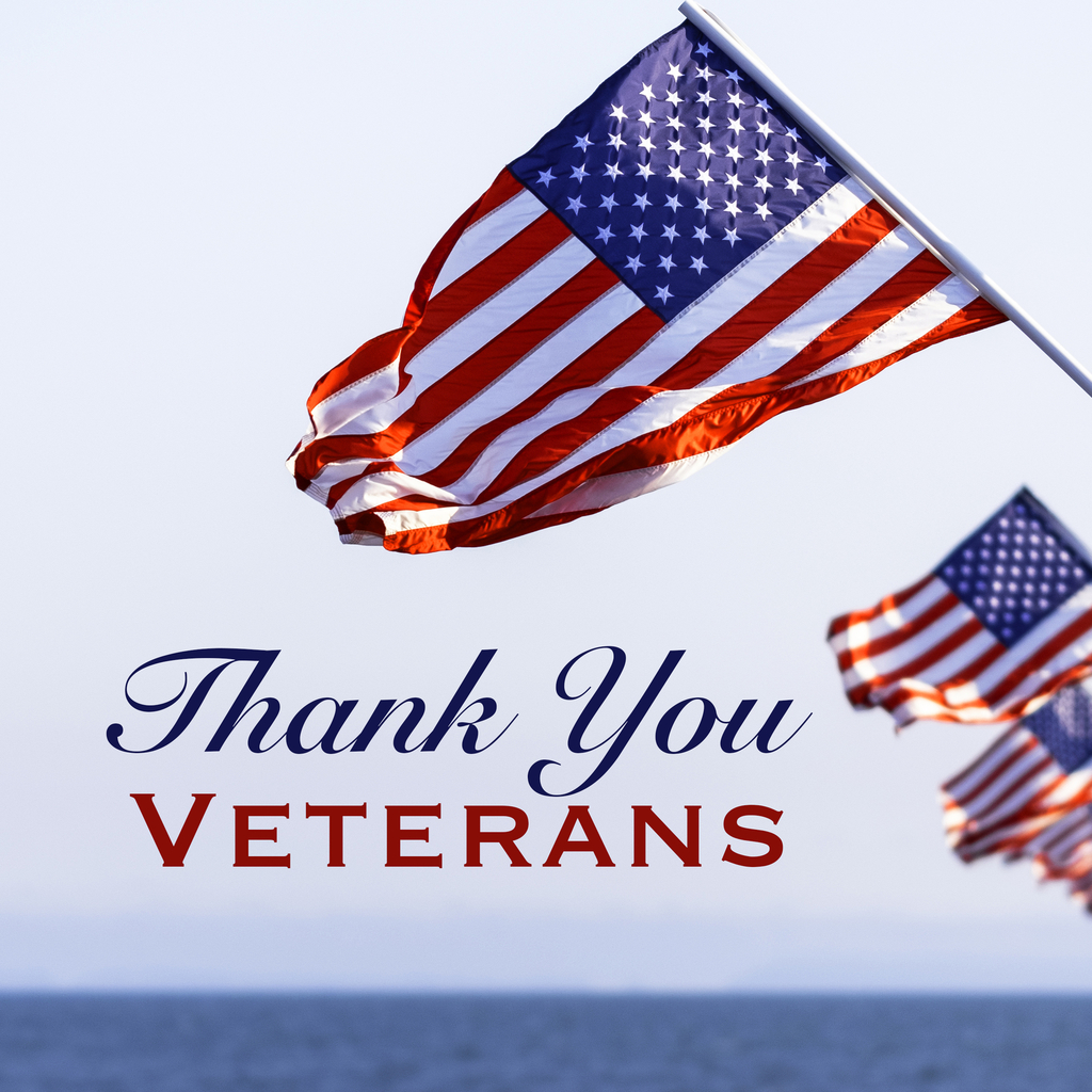 thank you veterans with flags