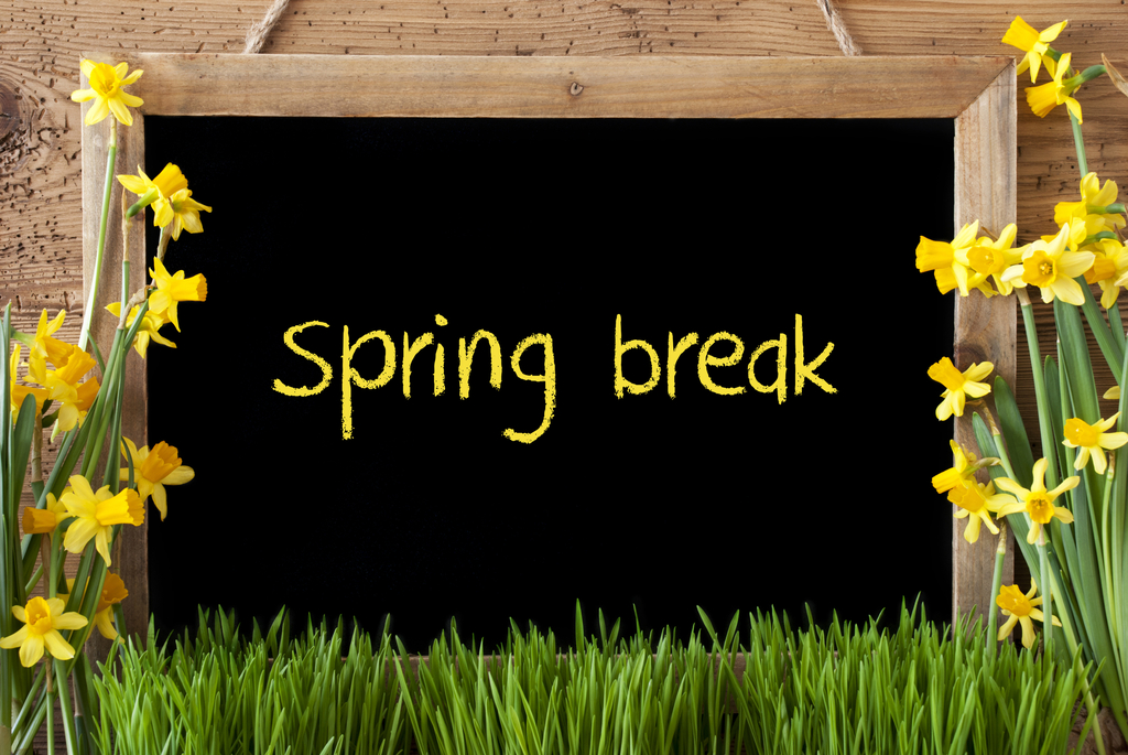 spring break sign with flowers